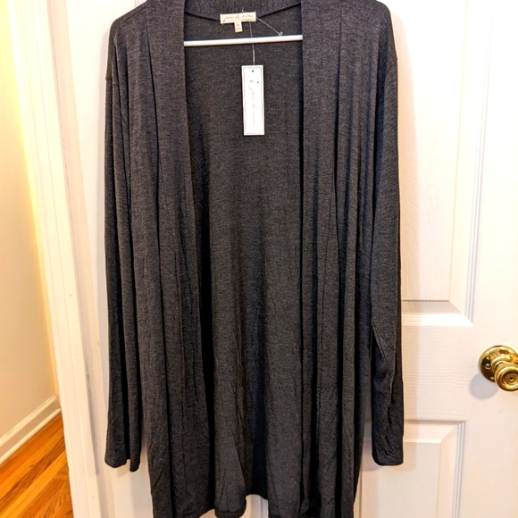 Joie Tops - NWT-Joie de Vivre overpiece, size 2x